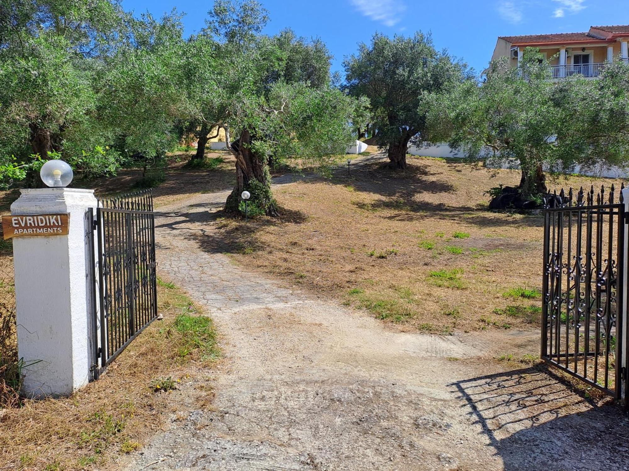 Evridiki Apartments Mesongí エクステリア 写真