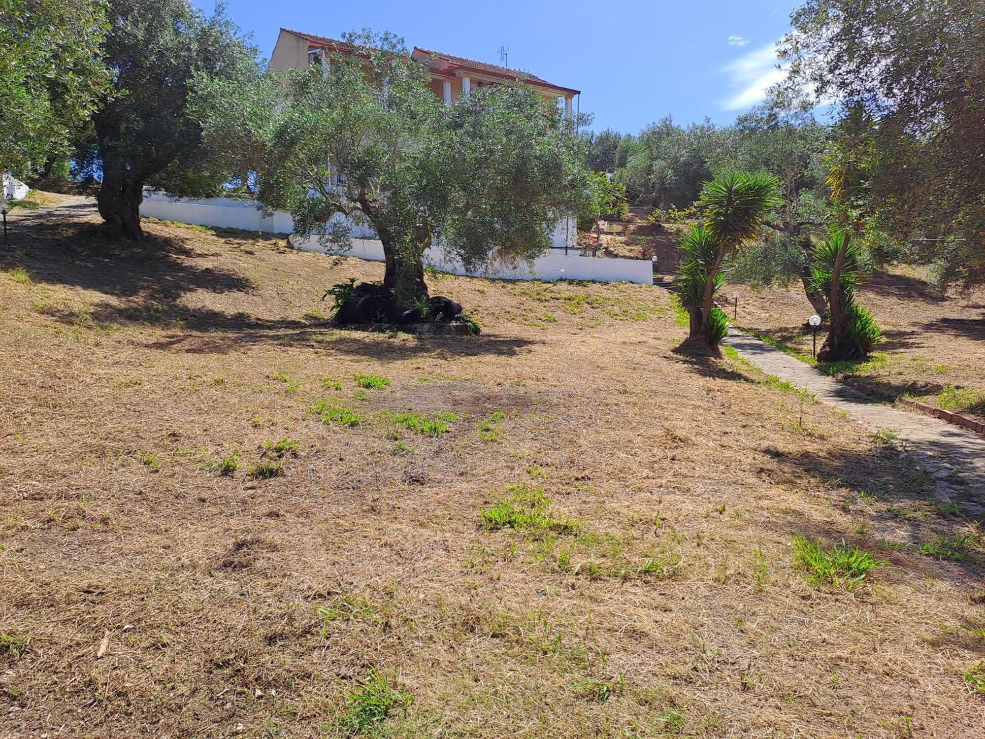 Evridiki Apartments Mesongí エクステリア 写真